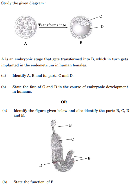 Study the given diagram